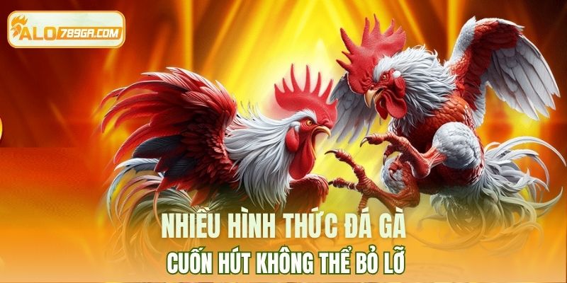 Nhiều hình thức đá gà cuốn hút không thể bỏ lỡ